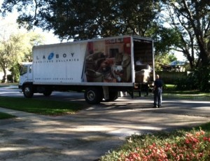 Oh Boy! Oh Lazy Boy!