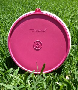 When You Really Need Freshness, You Need Tupperware