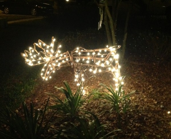 Christmas Moose