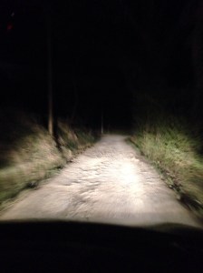 The views at night are a bit more terrifying. 