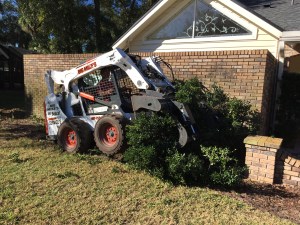 Do you see a mouse in this picture?