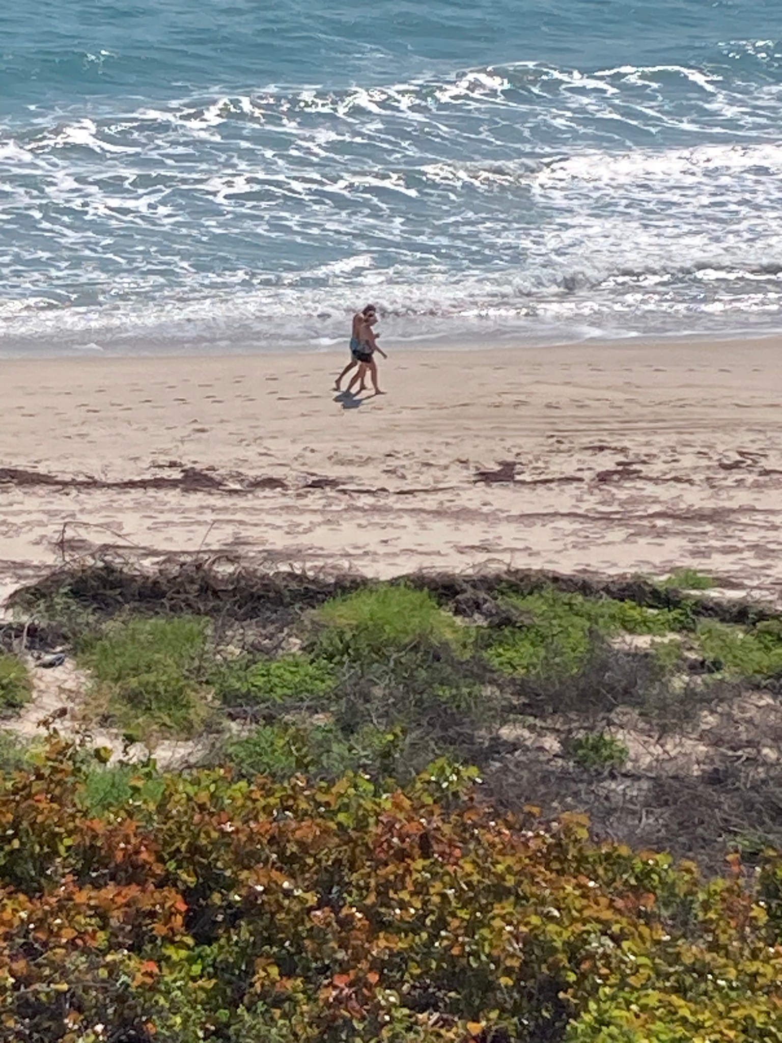 Life on the Lighter Side Swimsuit Edition Life on the Lighter Side